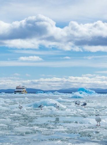 navegación entre icebergs en laguna san rafael