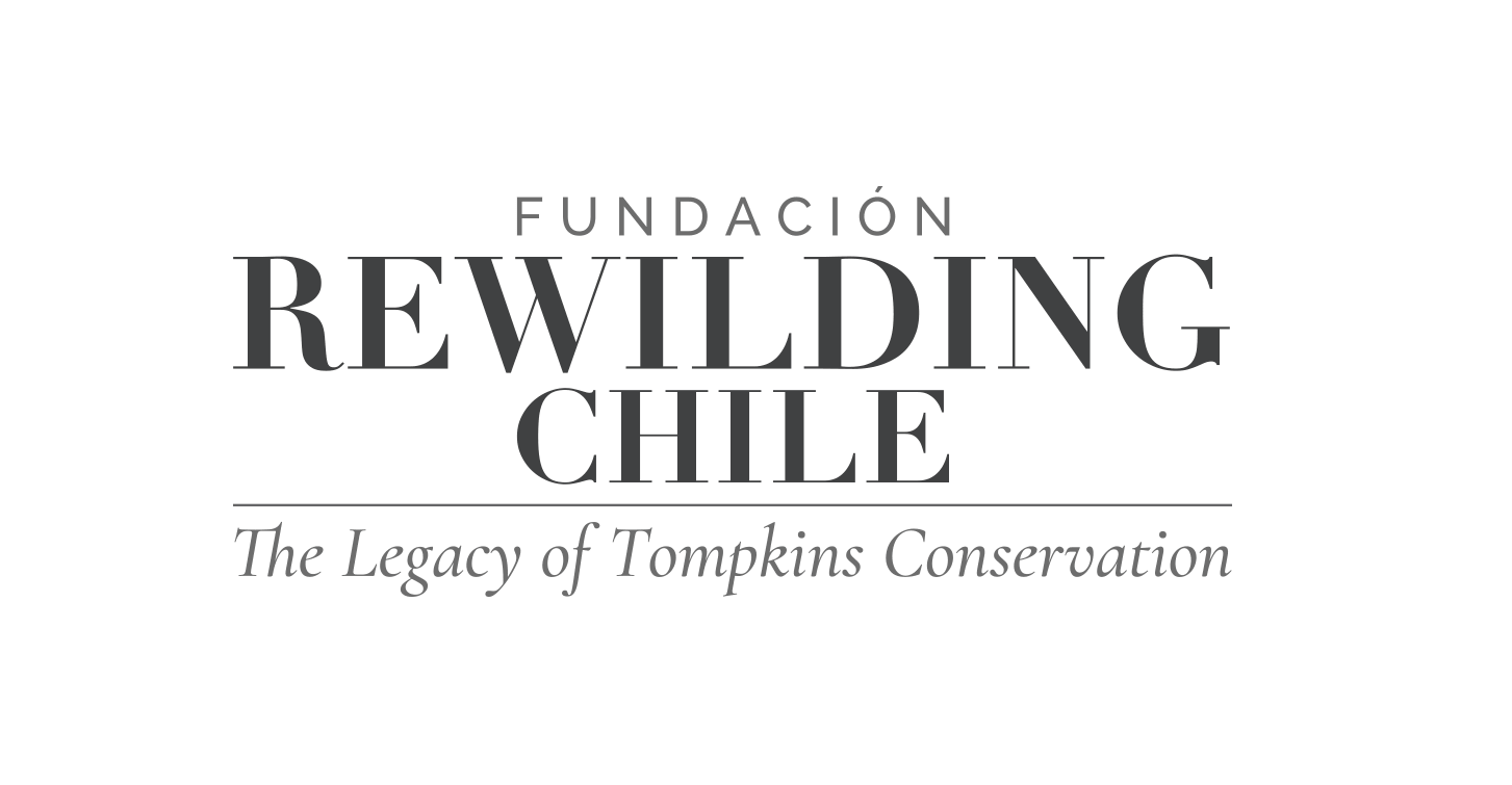 rewildingchile avatar en