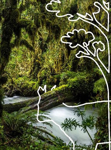 turismo naturaleza